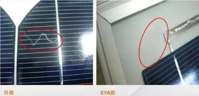 保险1.jpg